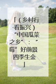 （乡村行·看振兴）“中国瓜菜之乡”：“莓”好前景 四季生金